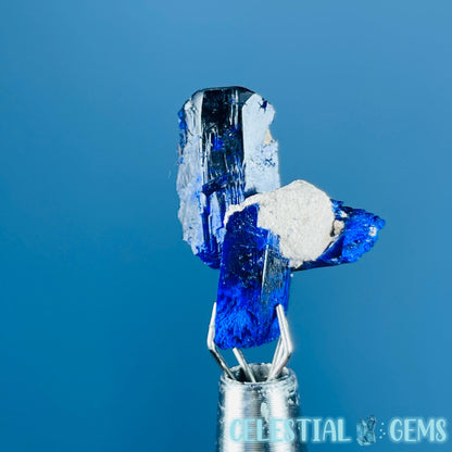 Grade A Gem Azurite Crystalline Cluster Mini Specimen (Video)