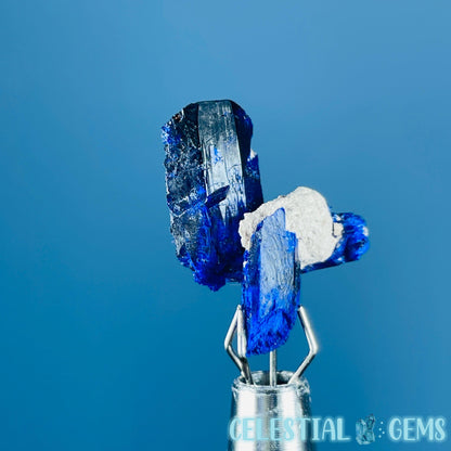 Grade A Gem Azurite Crystalline Cluster Mini Specimen (Video)