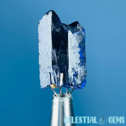 Grade A Gem Azurite Crystalline Mini Specimen (Video)