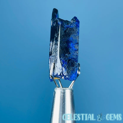 Grade A Gem Azurite Crystalline Mini Specimen (Video)