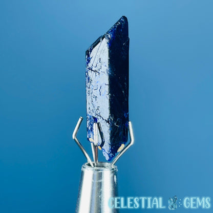 Grade A Gem Azurite Crystalline Mini Specimen (Video)