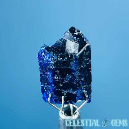 Grade A Gem Azurite Crystalline Mini Specimen (Video)