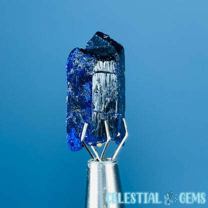 Grade A Gem Azurite Crystalline Mini Specimen (Video)