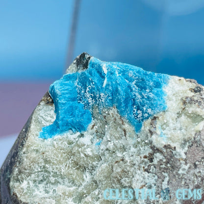 Rare Cavansite on Heulandite Small Specimen in Box