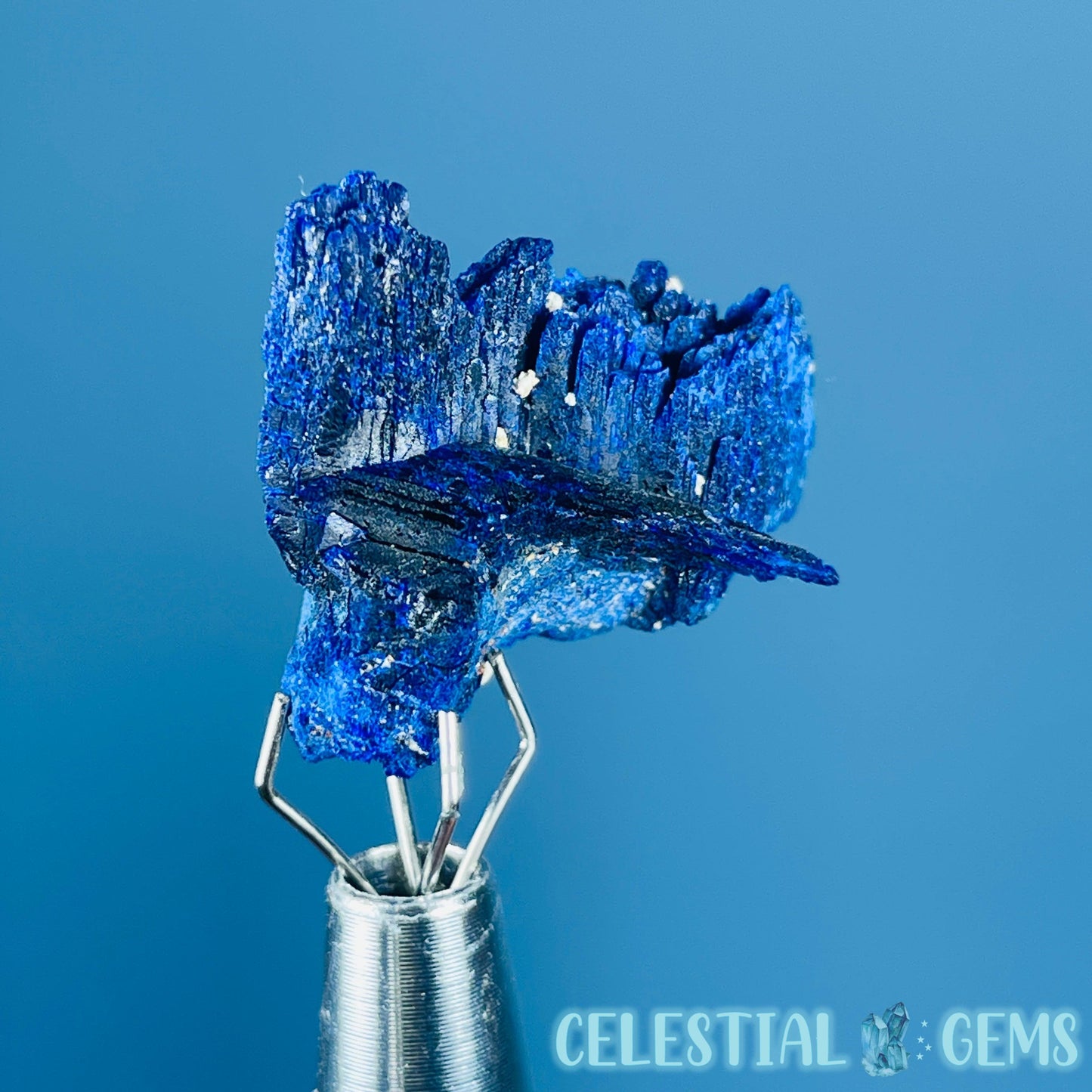 Grade A Gem Azurite Twinned Crystalline Mini Specimen (Video)