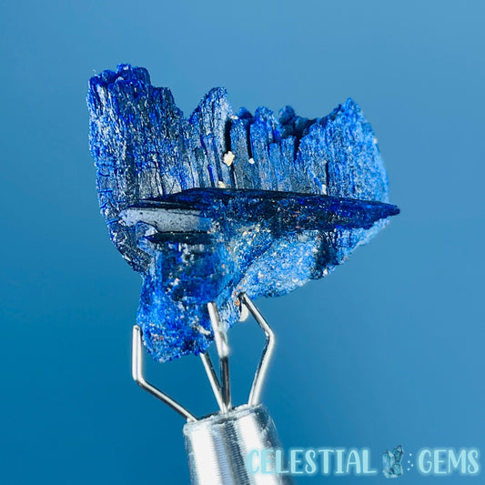 Grade A Gem Azurite Twinned Crystalline Mini Specimen (Video)