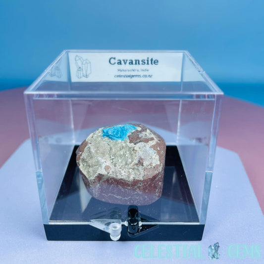 Rare Cavansite on Heulandite Small Specimen in Box