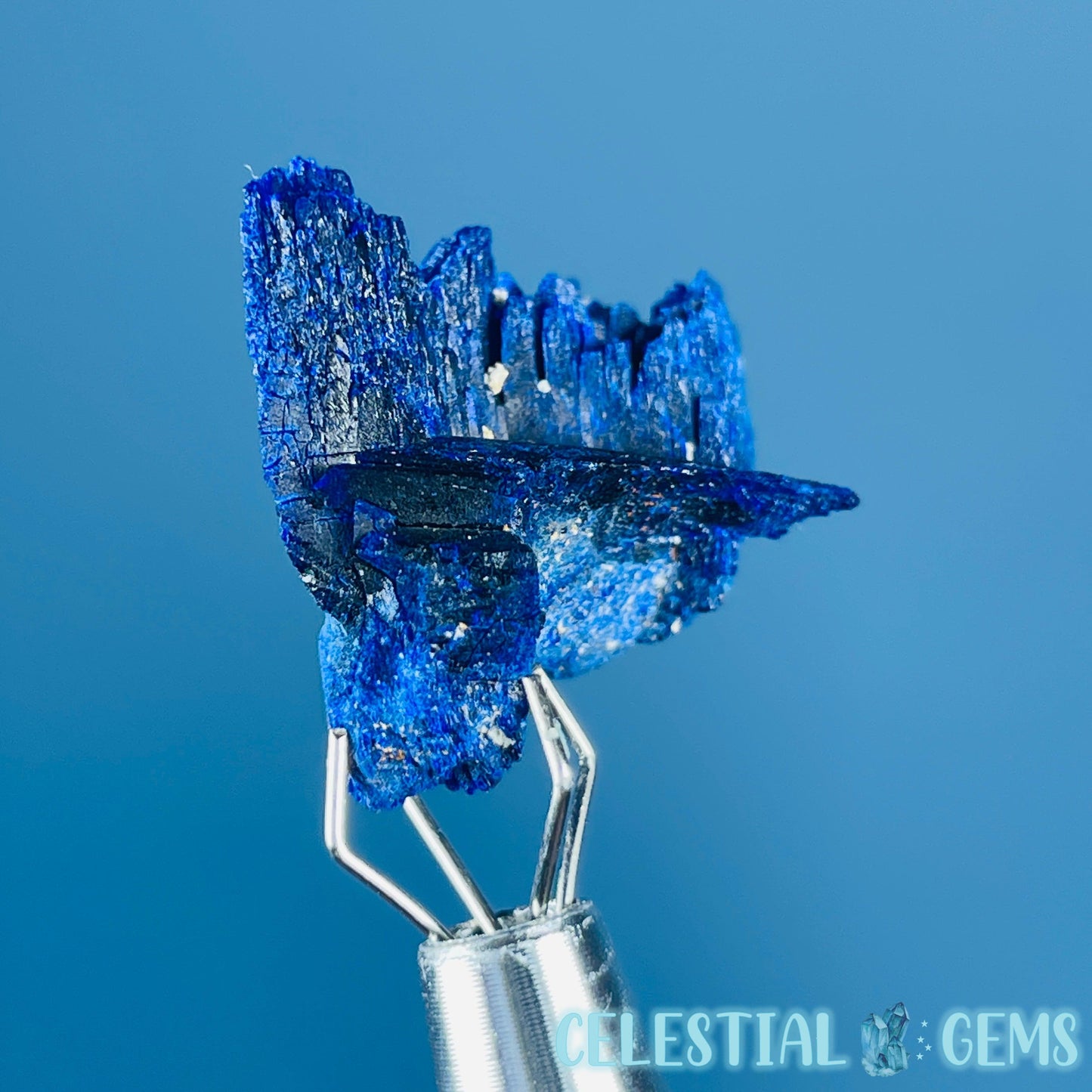 Grade A Gem Azurite Twinned Crystalline Mini Specimen (Video)