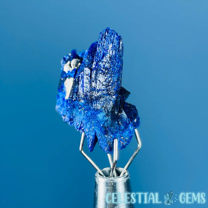 Grade A Gem Azurite Twinned Crystalline Mini Specimen (Video)