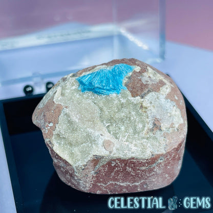 Rare Cavansite on Heulandite Small Specimen in Box