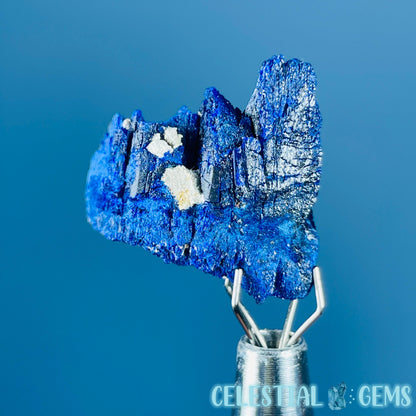 Grade A Gem Azurite Twinned Crystalline Mini Specimen (Video)