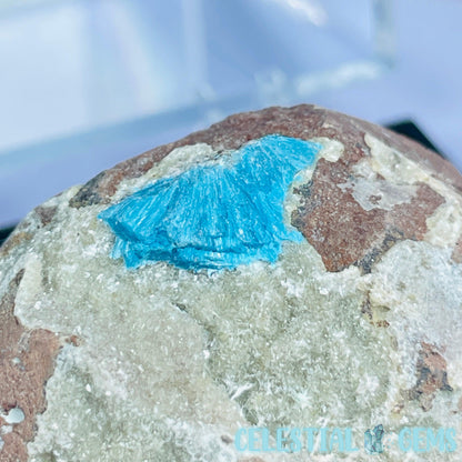 Rare Cavansite on Heulandite Small Specimen in Box