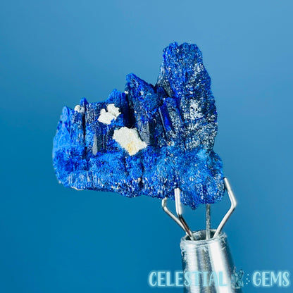 Grade A Gem Azurite Twinned Crystalline Mini Specimen (Video)