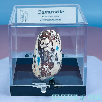 Rare Cavansite + Scolecite Polished Small Specimen in Box