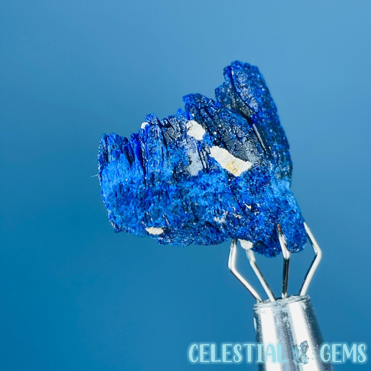 Grade A Gem Azurite Twinned Crystalline Mini Specimen (Video)