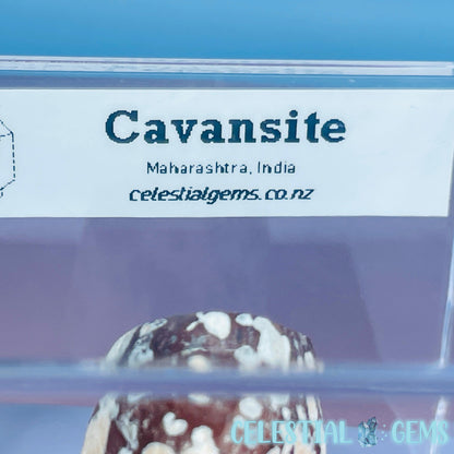 Rare Cavansite + Scolecite Polished Small Specimen in Box