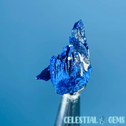 Grade A Gem Azurite Twinned Crystalline Mini Specimen (Video)