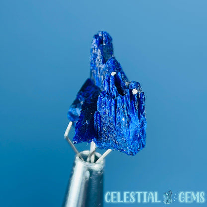 Grade A Gem Azurite Twinned Crystalline Mini Specimen (Video)