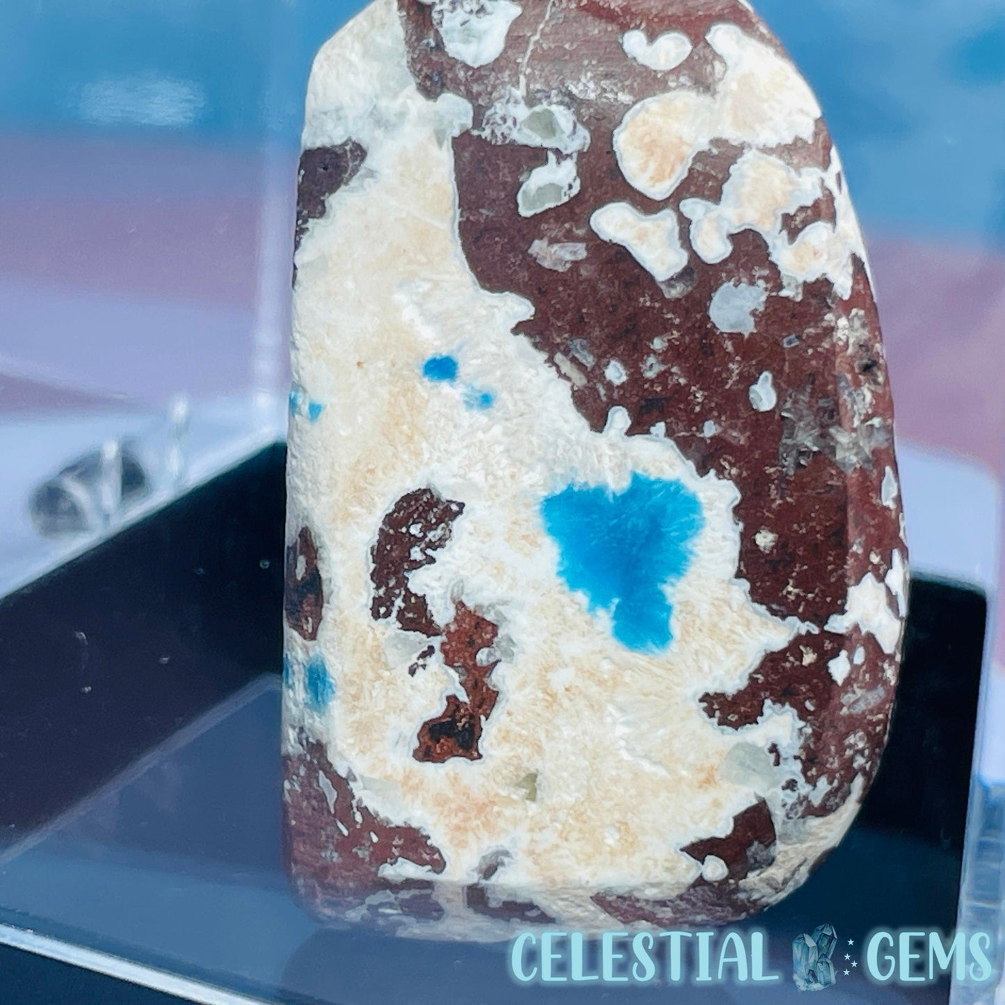 Rare Cavansite + Scolecite Polished Small Specimen in Box