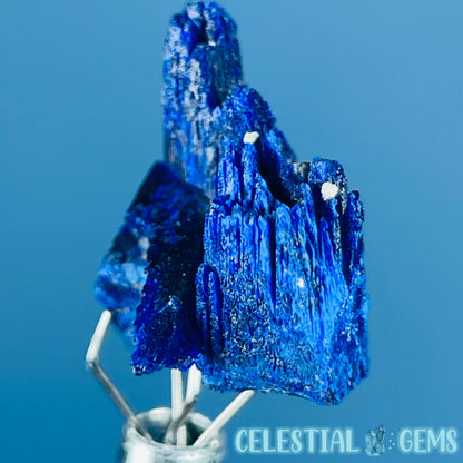 Grade A Gem Azurite Twinned Crystalline Mini Specimen (Video)