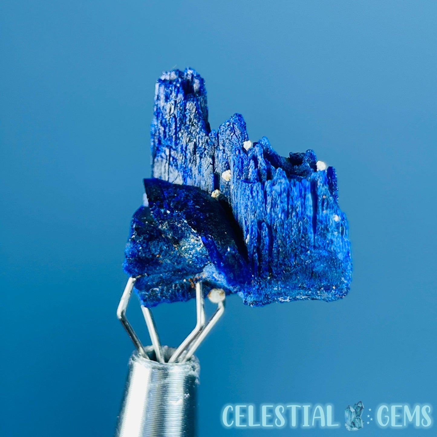 Grade A Gem Azurite Twinned Crystalline Mini Specimen (Video)