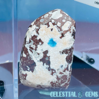 Rare Cavansite + Scolecite Polished Small Specimen in Box