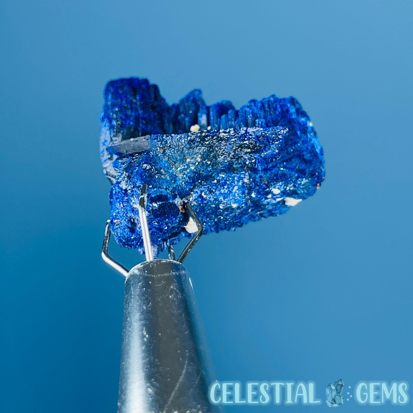 Grade A Gem Azurite Twinned Crystalline Mini Specimen (Video)