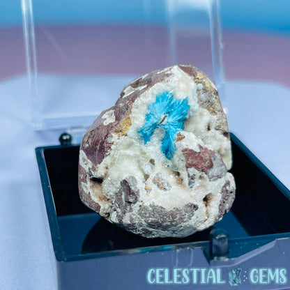 Rare Cavansite on Heulandite Mini Specimen in Box