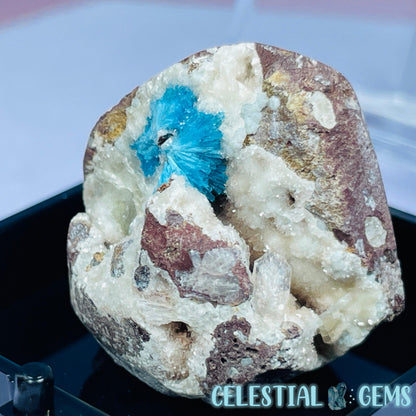 Rare Cavansite on Heulandite Mini Specimen in Box