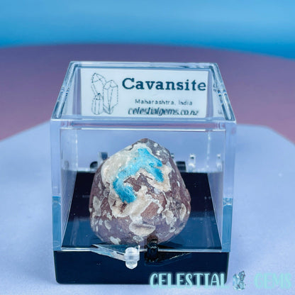 Rare Cavansite on Calcite Mini Specimen in Box