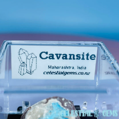 Rare Cavansite on Calcite Mini Specimen in Box