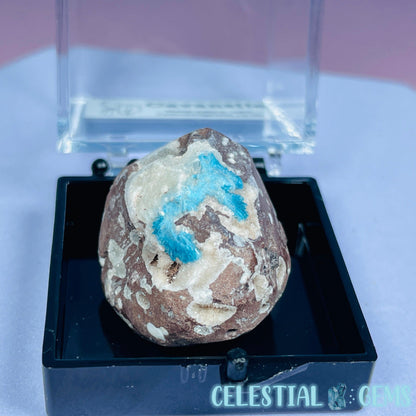 Rare Cavansite on Calcite Mini Specimen in Box