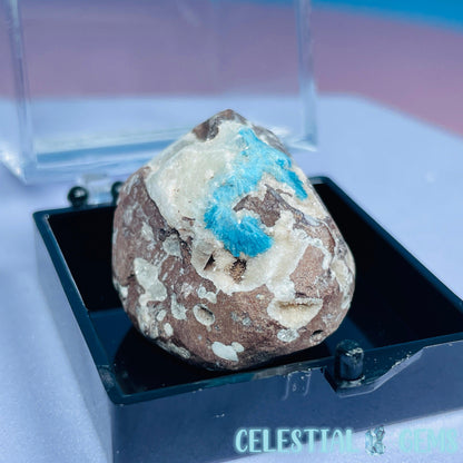 Rare Cavansite on Calcite Mini Specimen in Box