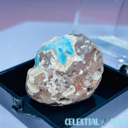 Rare Cavansite on Calcite Mini Specimen in Box