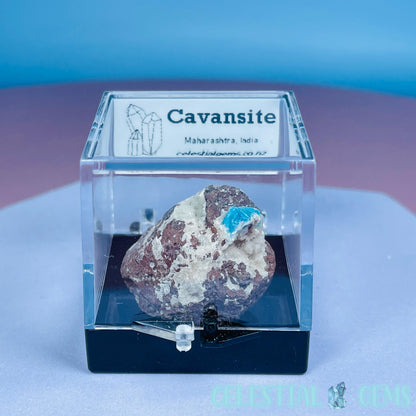 Rare Cavansite on Heulandite Mini Specimen in Box