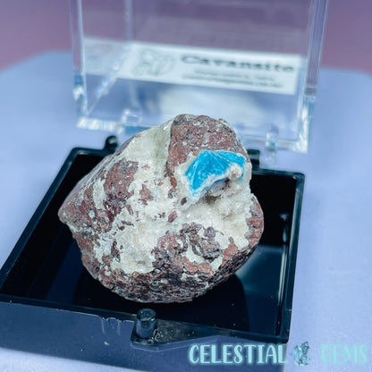 Rare Cavansite on Heulandite Mini Specimen in Box