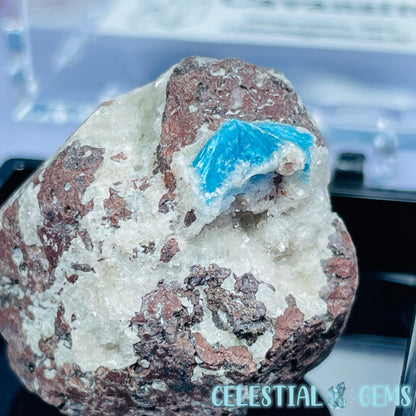 Rare Cavansite on Heulandite Mini Specimen in Box