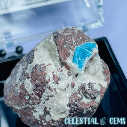 Rare Cavansite on Heulandite Mini Specimen in Box