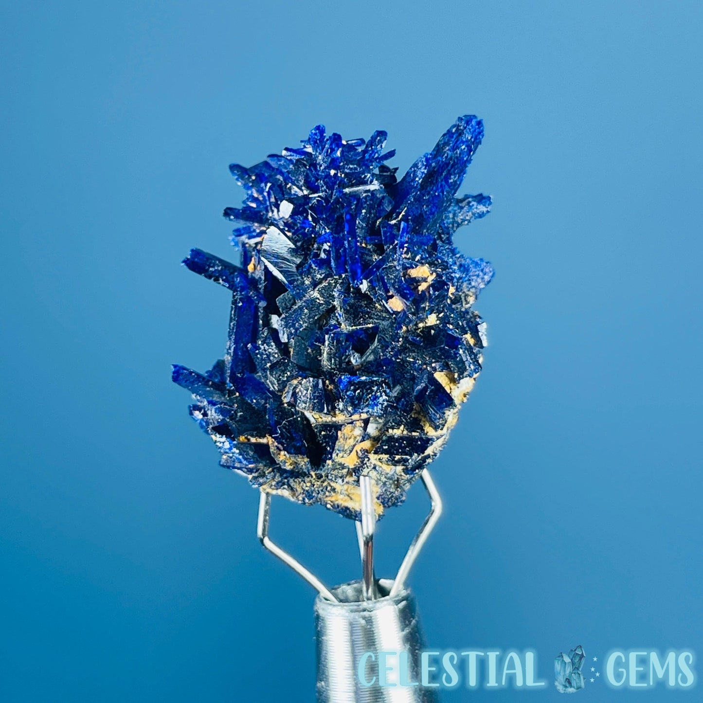 Grade A Gem Azurite Crystalline Cluster Mini Specimen (Video)