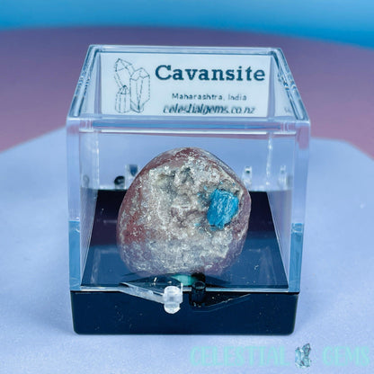 Rare Cavansite on Heulandite Mini Specimen in Box