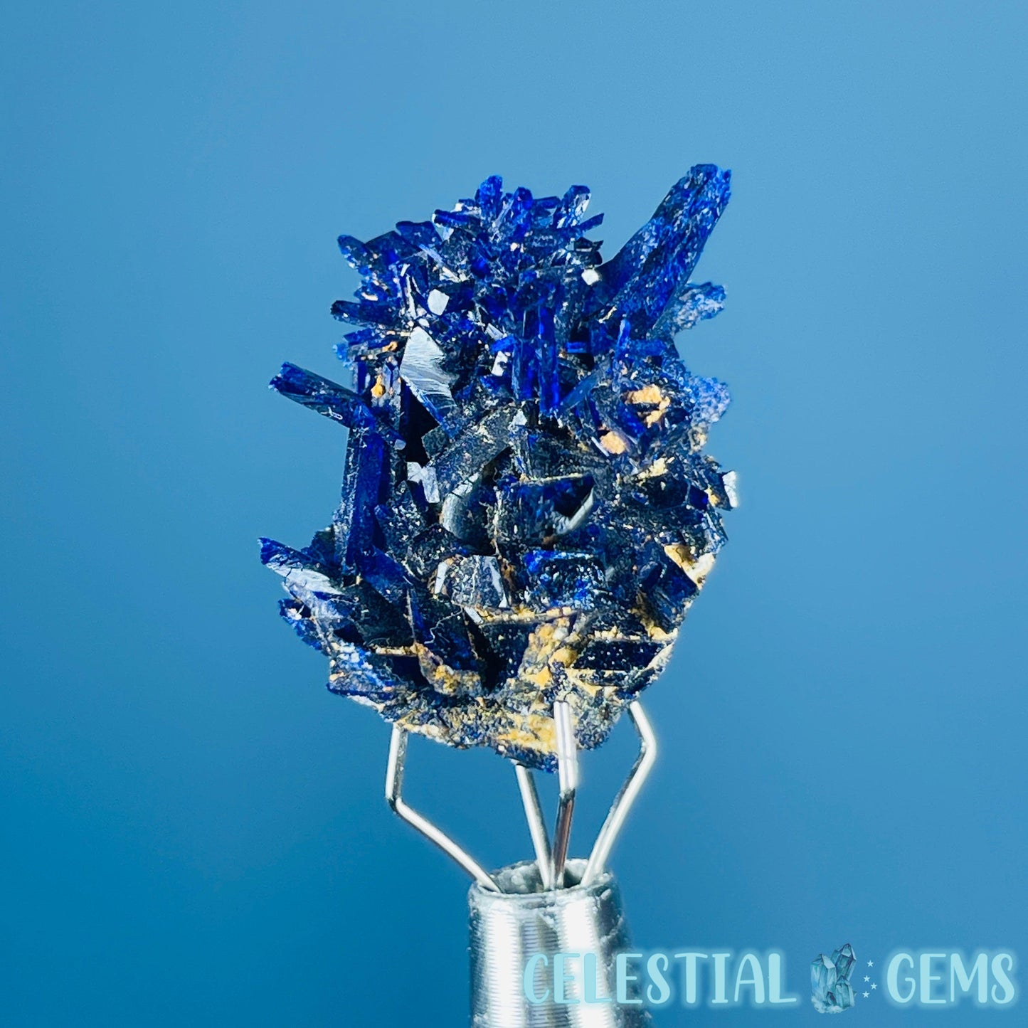 Grade A Gem Azurite Crystalline Cluster Mini Specimen (Video)