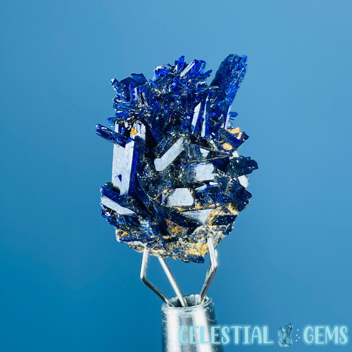 Grade A Gem Azurite Crystalline Cluster Mini Specimen (Video)