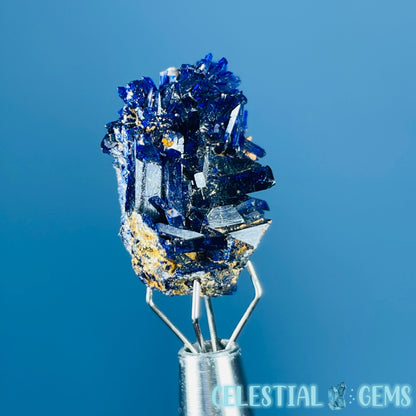 Grade A Gem Azurite Crystalline Cluster Mini Specimen (Video)