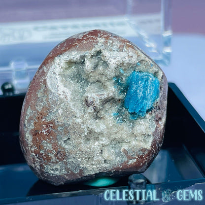 Rare Cavansite on Heulandite Mini Specimen in Box