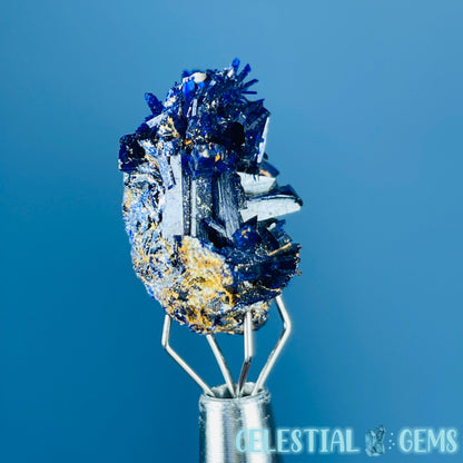 Grade A Gem Azurite Crystalline Cluster Mini Specimen (Video)