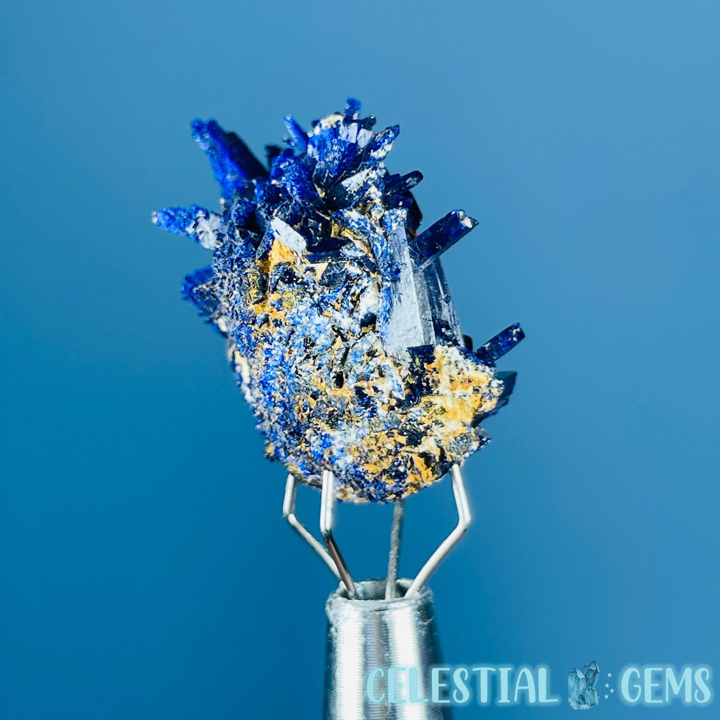 Grade A Gem Azurite Crystalline Cluster Mini Specimen (Video)