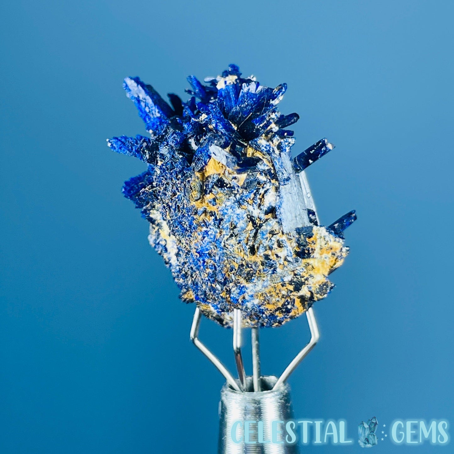 Grade A Gem Azurite Crystalline Cluster Mini Specimen (Video)