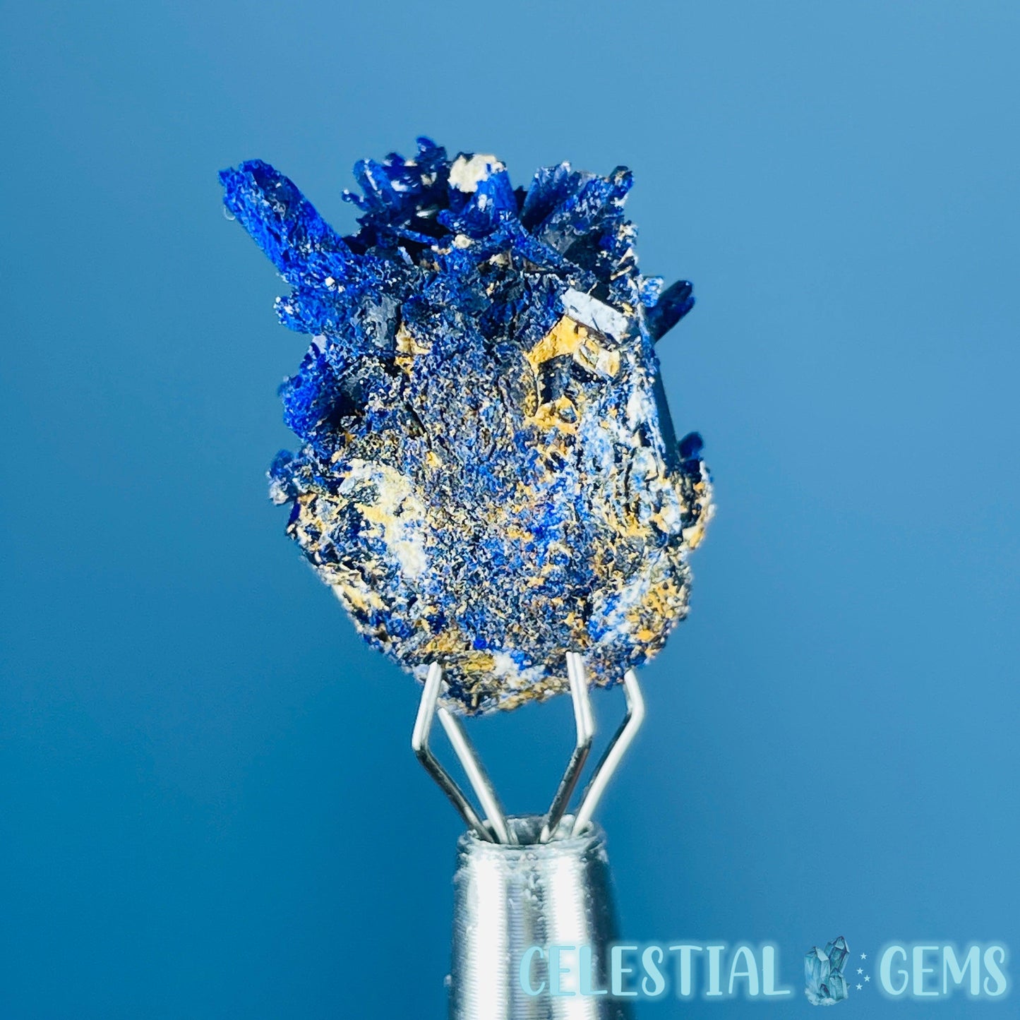 Grade A Gem Azurite Crystalline Cluster Mini Specimen (Video)