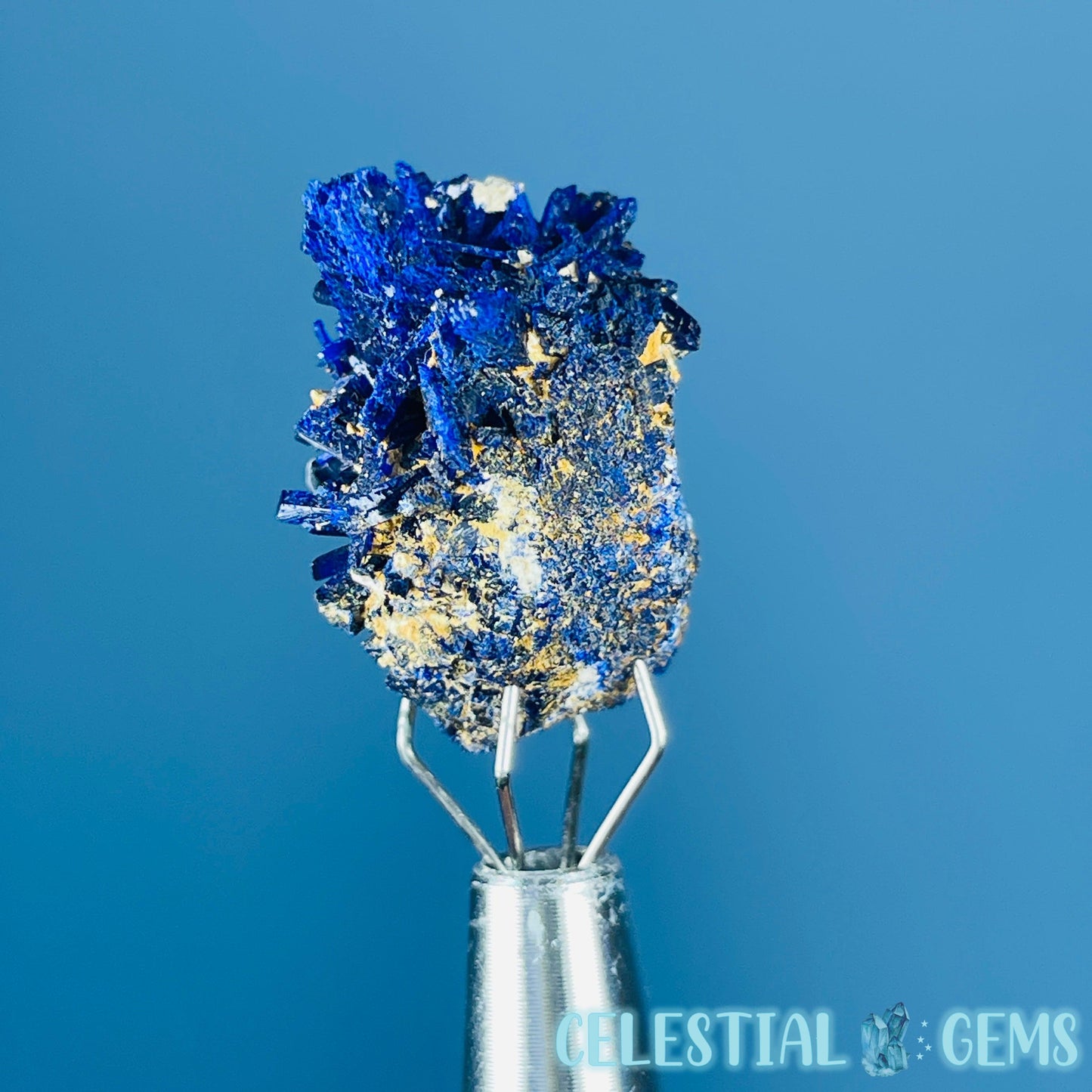 Grade A Gem Azurite Crystalline Cluster Mini Specimen (Video)