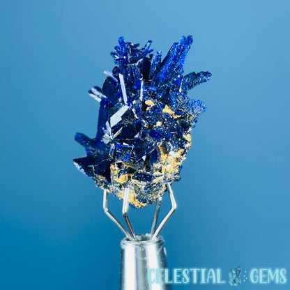 Grade A Gem Azurite Crystalline Cluster Mini Specimen (Video)